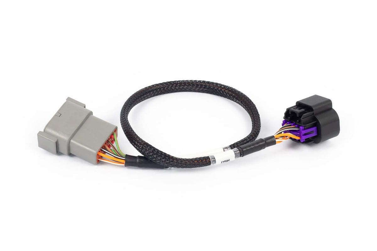 Haltech Wiring Harnesses / Looms Nexus Rebel LS - 8-pin DBW adaptor Haltech Nexus Rebel LS - 8-pin DBW adaptor (HT-186506) SR