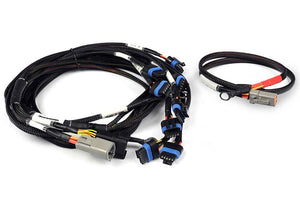 Haltech Nexus Universal V8 - IGN-1A Ford Harness (HT-186061)