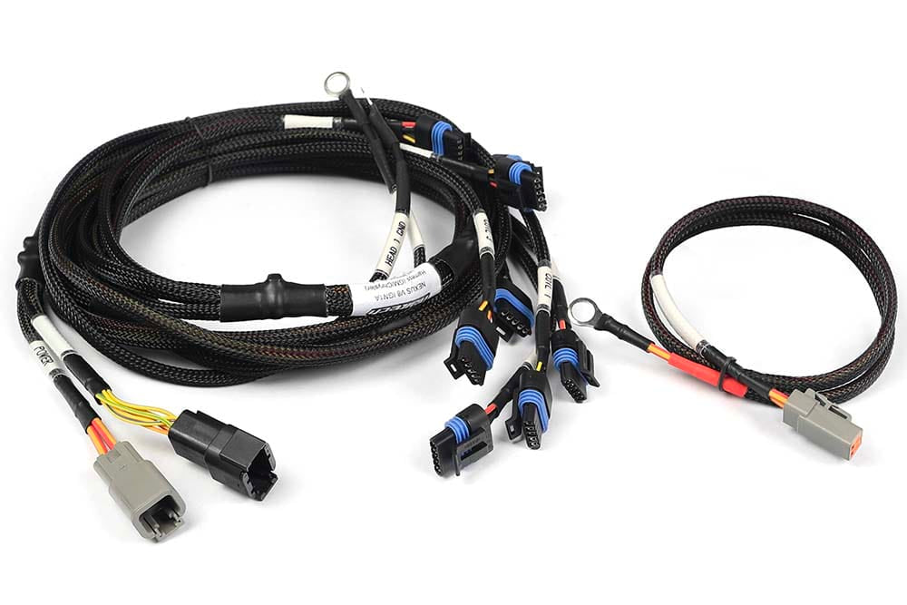 Haltech Wiring Harnesses / Looms Nexus V8 IGN-1A GM/Chrysler Harness Haltech Nexus Universal V8 - IGN-1A GM/Chrysler Harness (HT-186060) SR