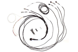 Haltech Semi Terminated Stand-Alone Harness For iC-7 Display Dash (HT-060300)