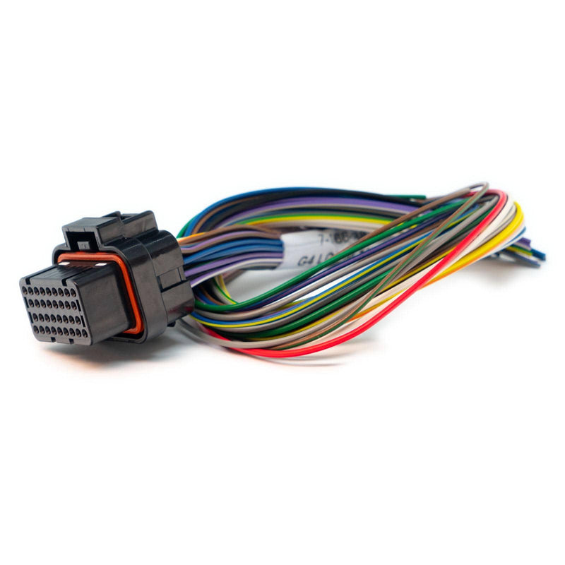 Link ECU B Loom Short - 400mm 0LB (101-0003)
