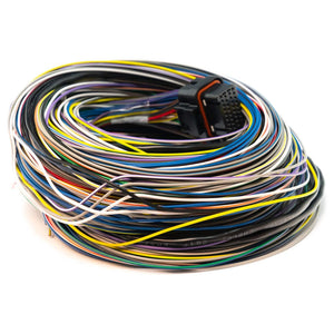 Link ECU B Loom Long - 5m 5LB (101-0009)