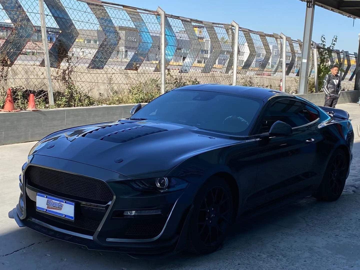 Luxury Sports Luxury Sports Alloy GT Style Vented Bonnet For Ford Mustang 15-17 SR