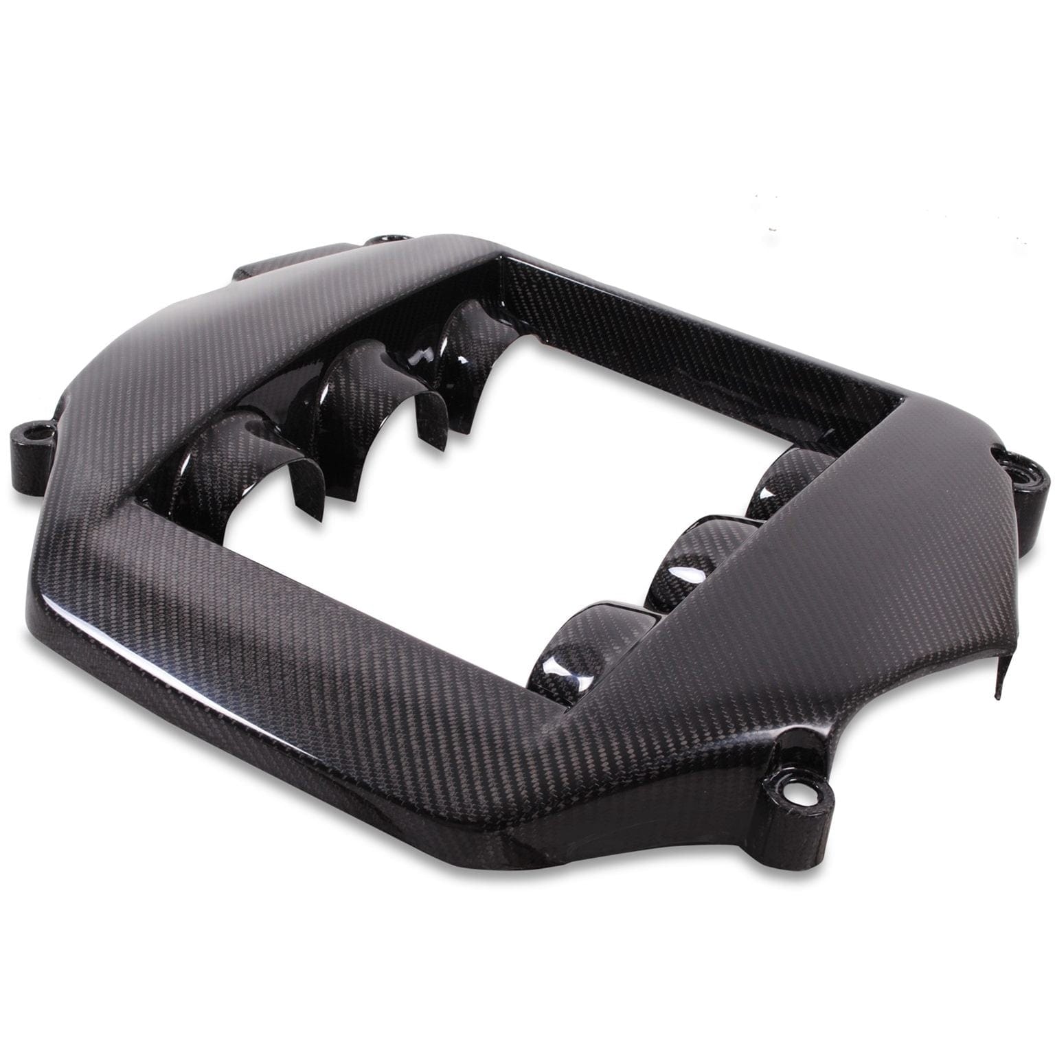 Luxury Sports SR OEM Style Engine Cover For Nissan R35 -PP SR