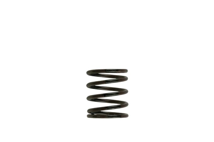 Turbosmart Wastegate Spring TS-0505-2001