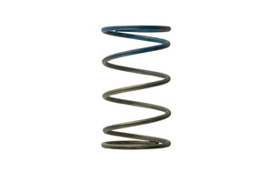 Turbosmart Gen4 IWG WG38/40/45/50L 10PSI OUTER SPRING – BROWN/BLUE
