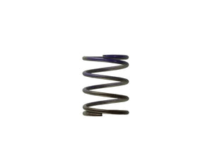 Turbosmart Gen4 IWG WG38/40/45/50L 7PSI MIDDLE SPRING – BROWN/PURPLE