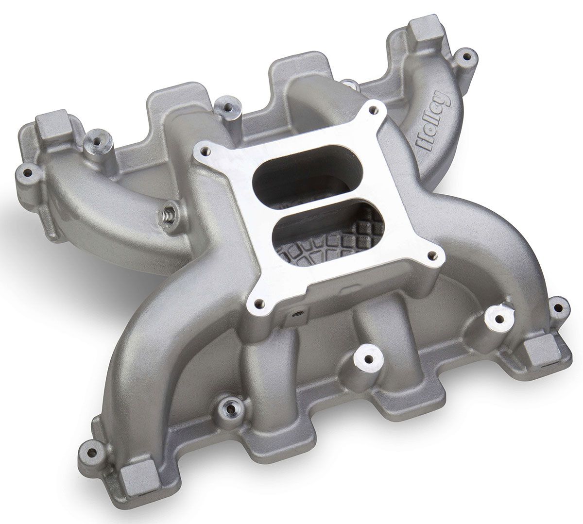 Holley LS1/LS2/LS6 Dual Plane Mid Rise Intake Manifold HO300-130