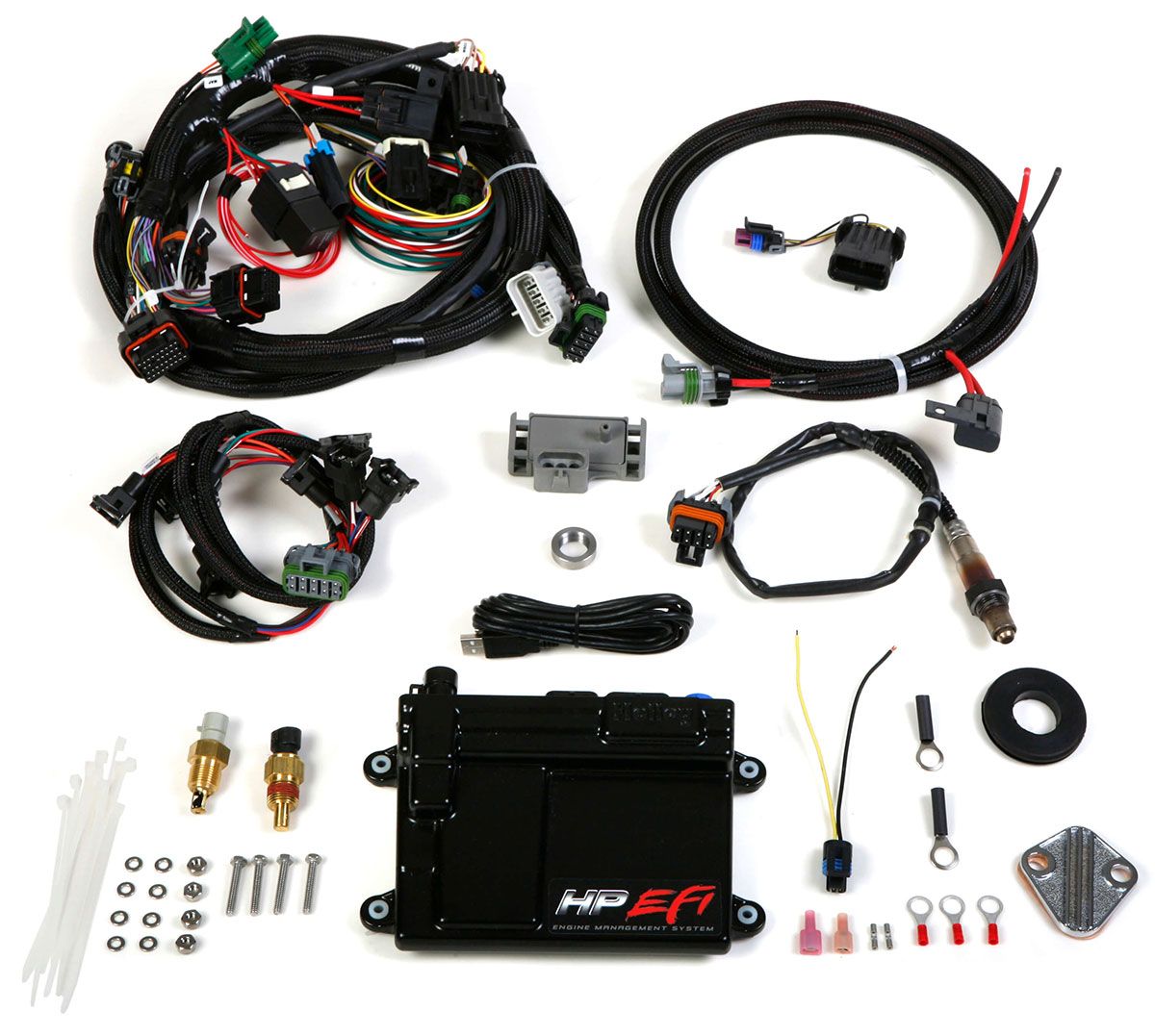 Holley HP EFI ECU & Harness Kit HO550-601