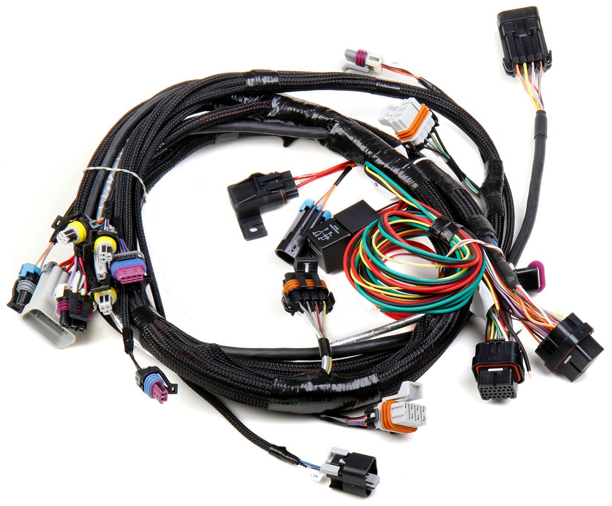 Holley LS1/LS6 Main Wiring Harness HO558-102