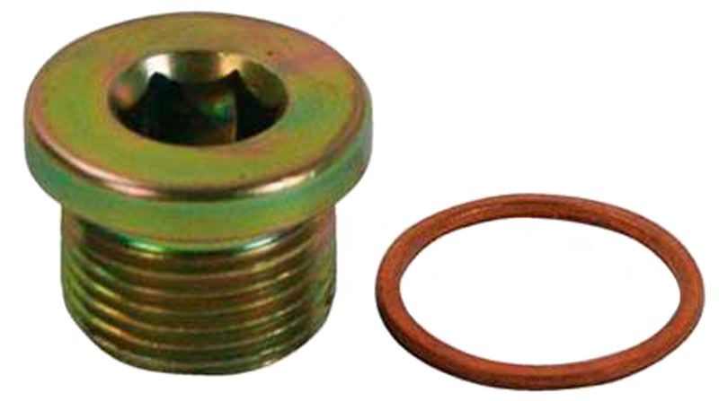 Moroso Steel Plug with Copper Washer MO22738